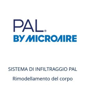 Massimiliano Leporati - Logo By Microaire